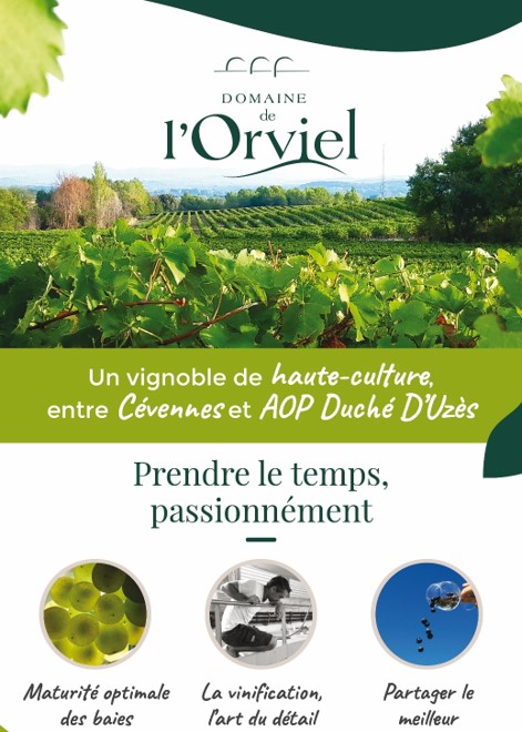 DOMAINE DE L'ORVIEL 2019